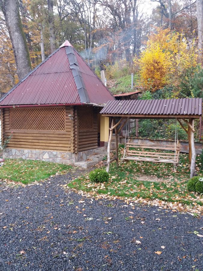 U Lyudmily Villa Karpaty Exterior photo